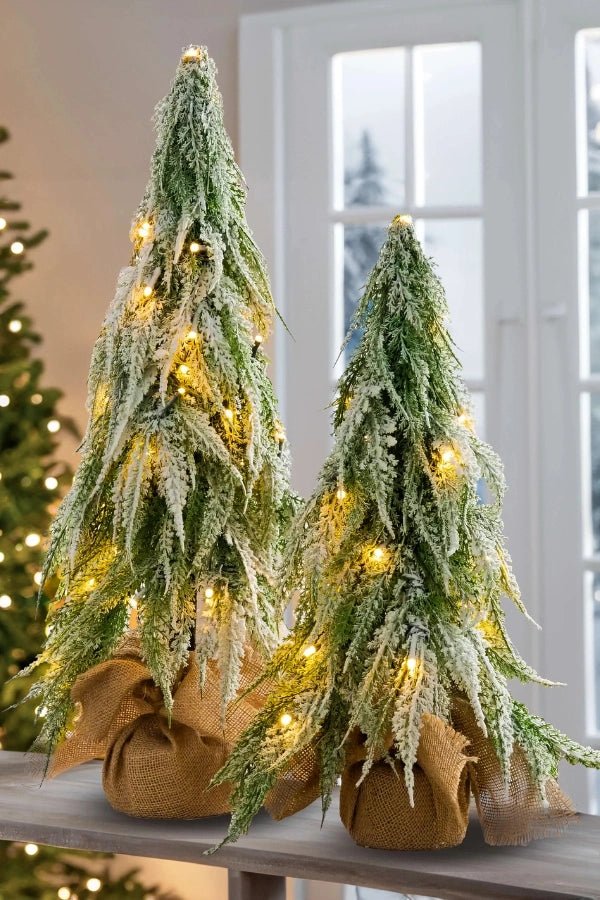 Winter Frosty Tree