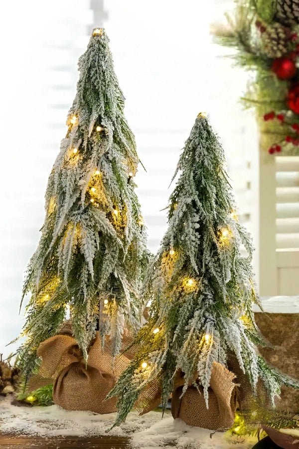 Winter Frosty Tree