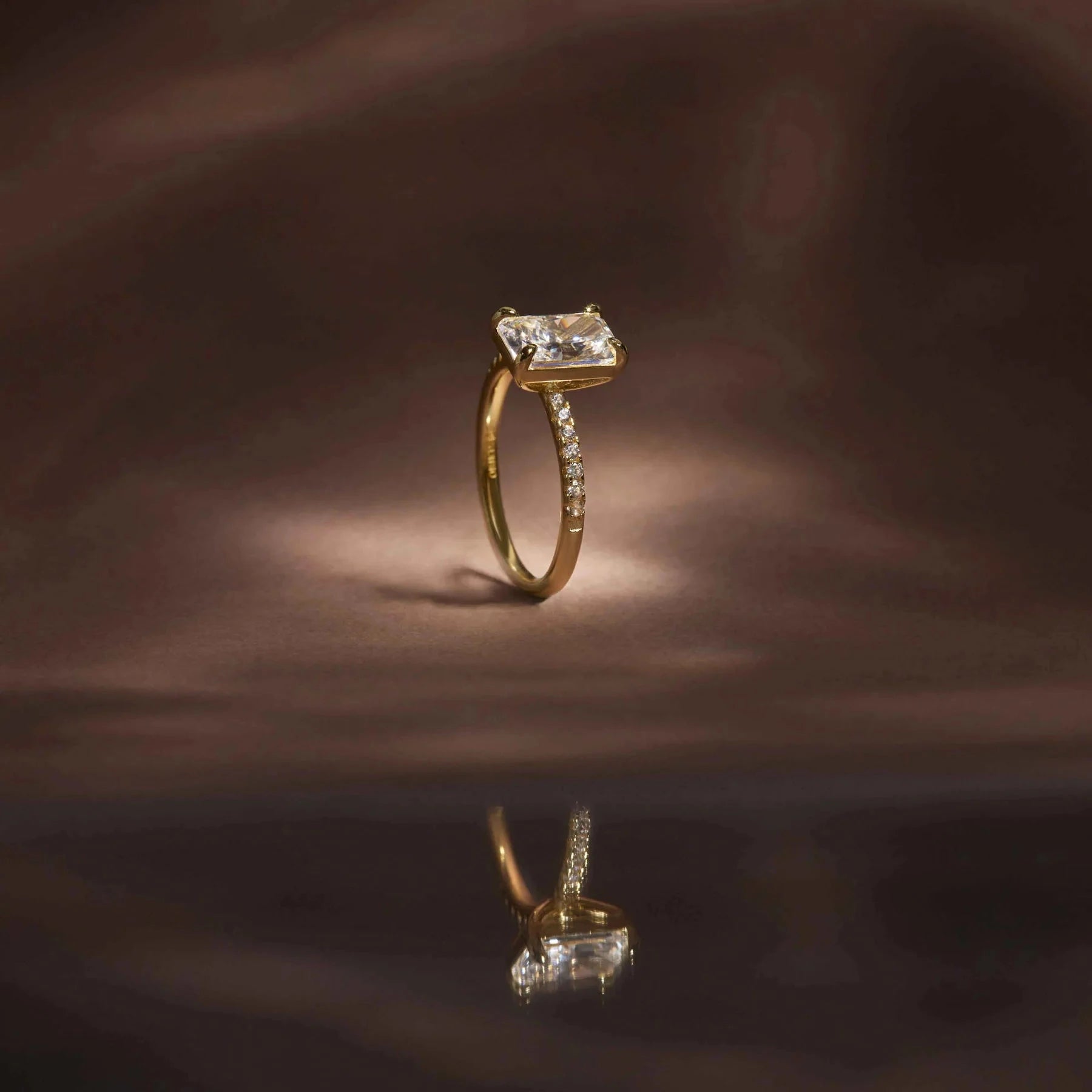 Dani Ring