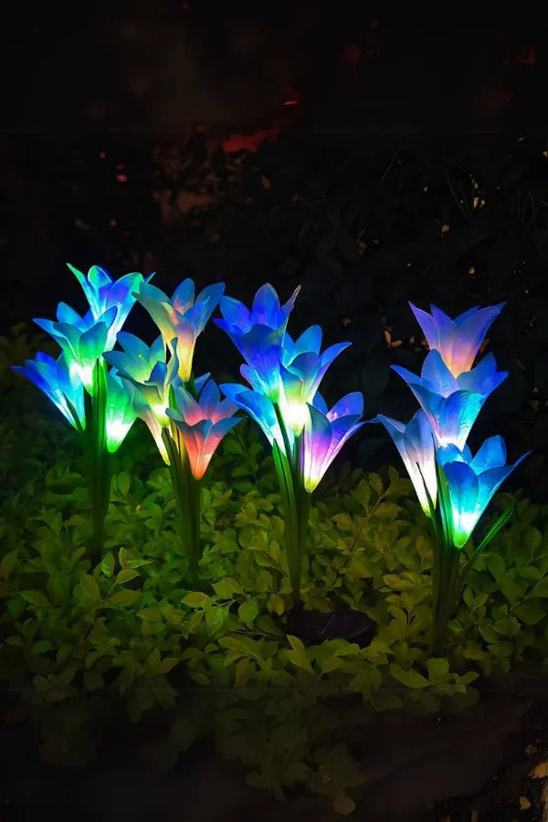 Sonnenfinsternisblüte