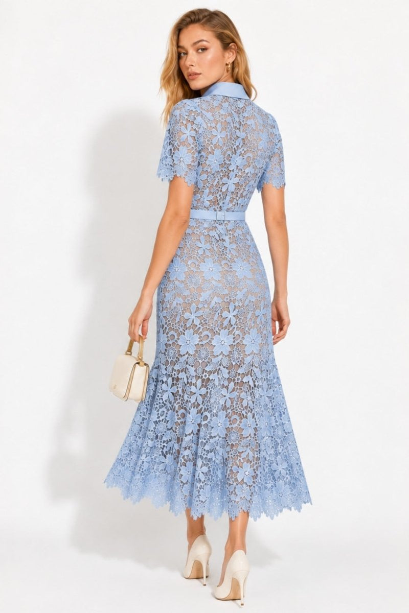Back view of elegant blue lace collared midi dress with nude lining.