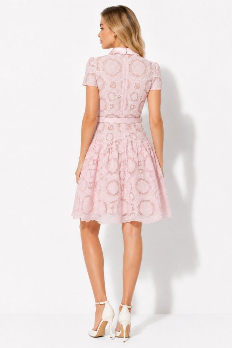 Back view of Fenlo Form pink lace short dress showing concealed back zipper and scalloped hemline.