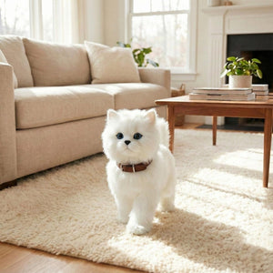 White Persian