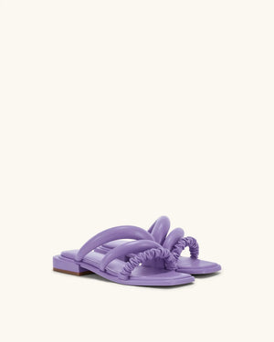 Evee Lavender