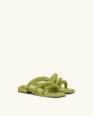 Evee Green