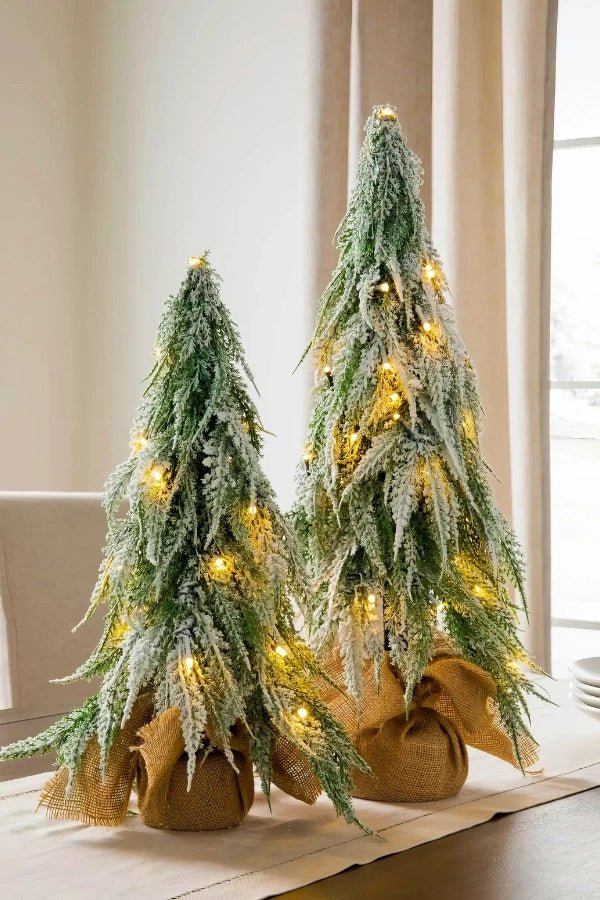Winter Frosty Tree