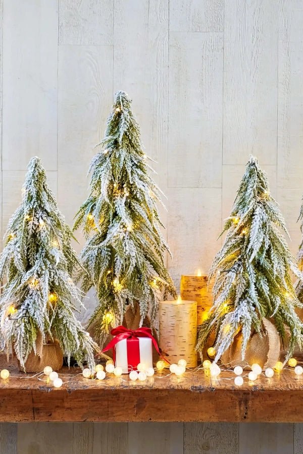 Winter Frosty Tree