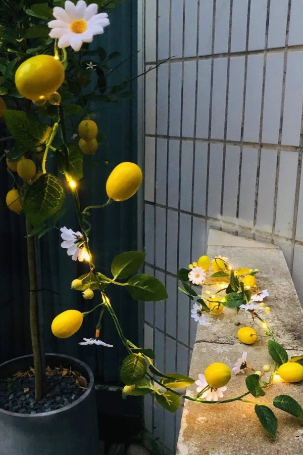 Strahlendes Zitronenlicht 