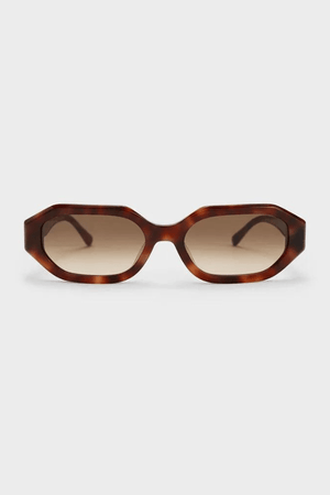 tortoise cielo