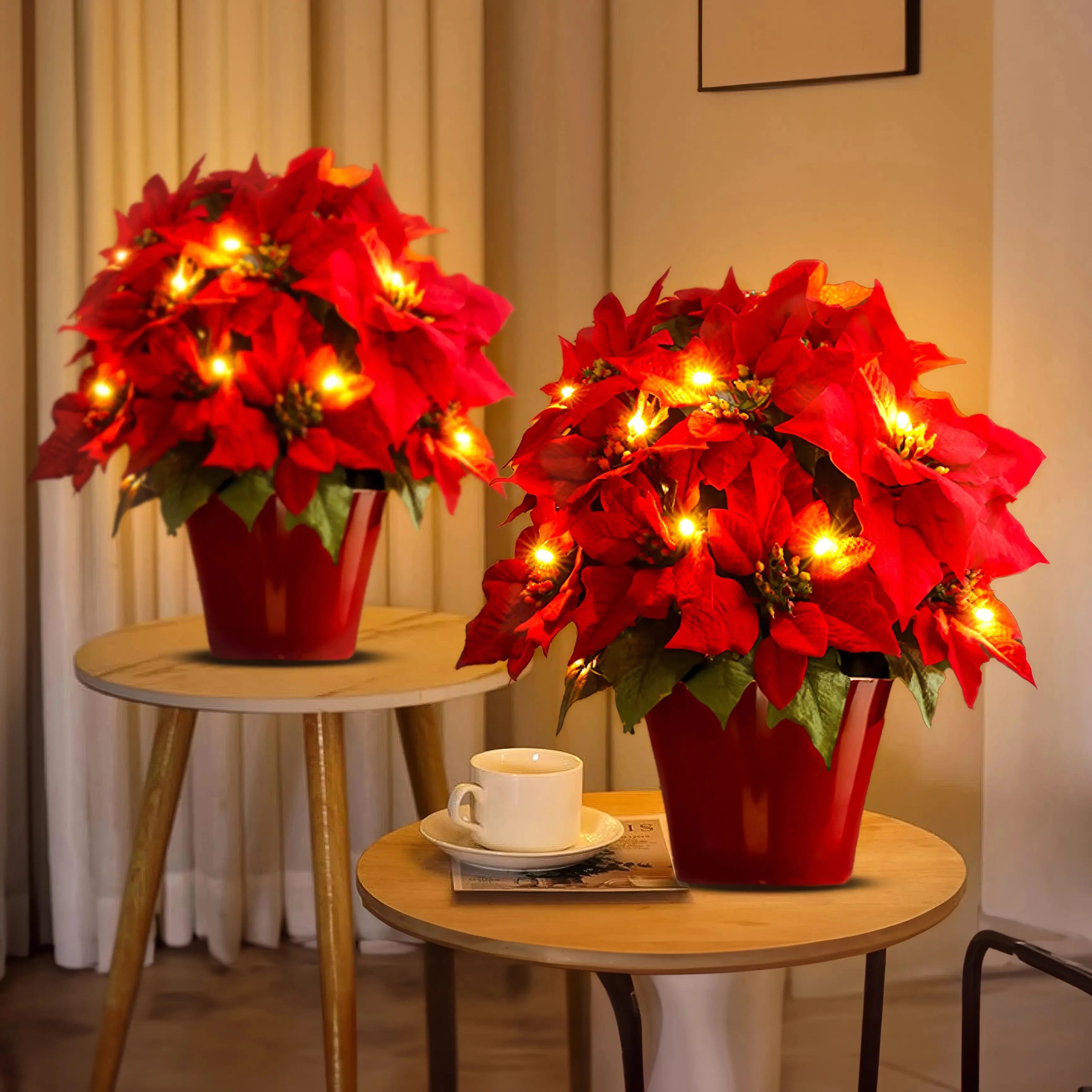 Scarlet Shine Weihnachtsstern 