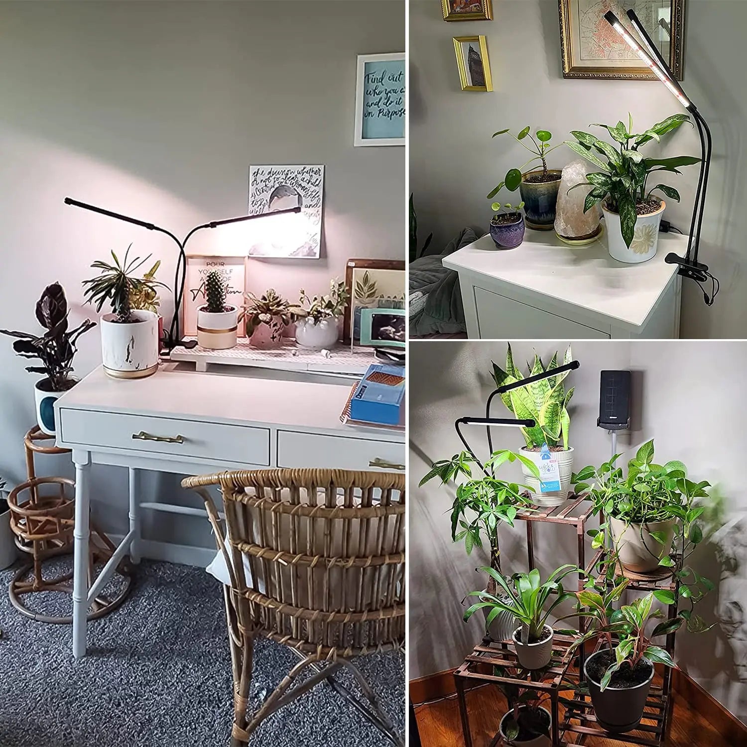 Luminia Halo | Full-Spectrum Botanical Grow Light