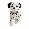Dalmatian