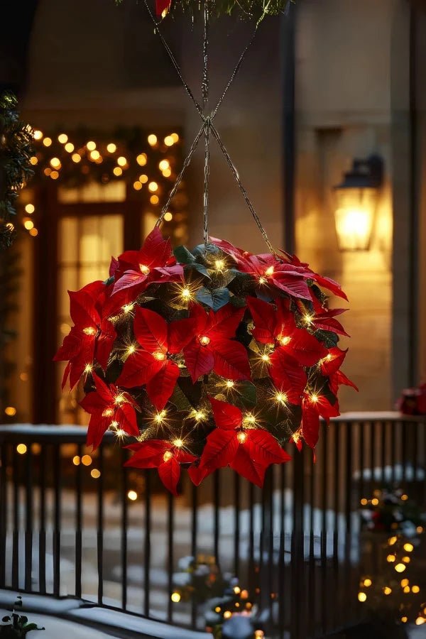 Scarlet Shine Weihnachtsstern 