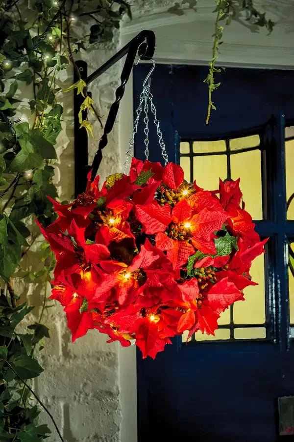 Scarlet Shine Weihnachtsstern 