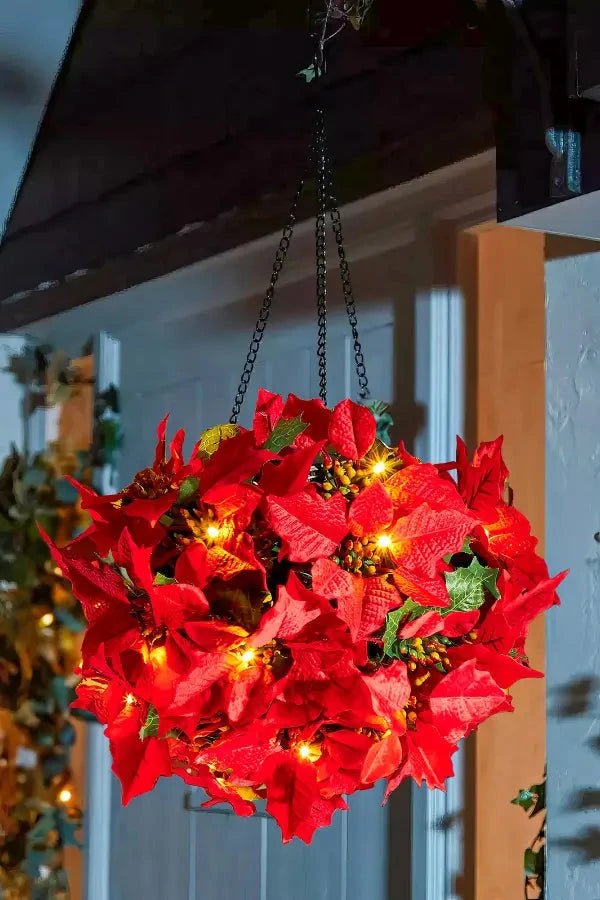 Scarlet Shine Weihnachtsstern 