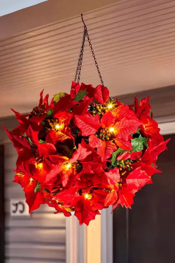 Scarlet Shine Weihnachtsstern 
