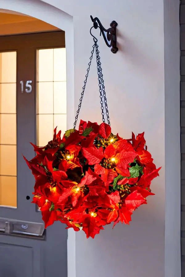 Scarlet Shine Weihnachtsstern 
