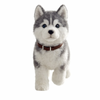 Husky