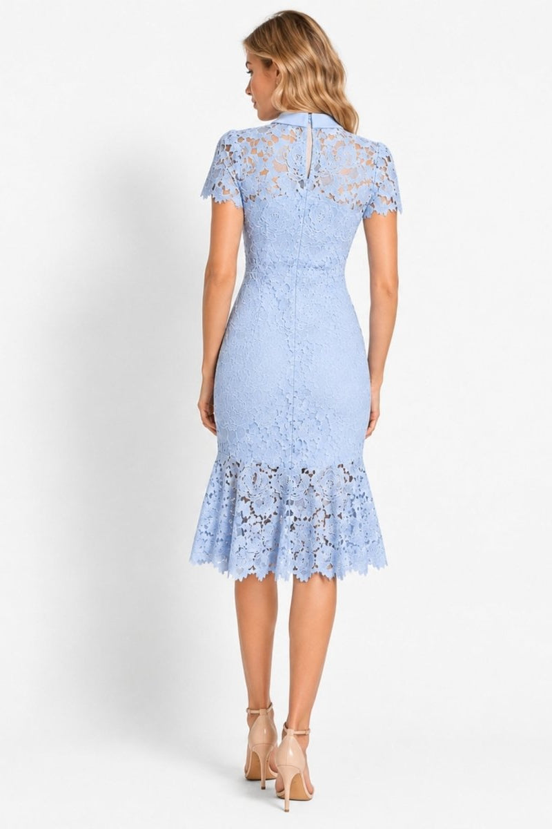 Back view of light blue lace occasion dress featuring keyhole detail and lower sheer flared hem.
