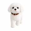 Maltese