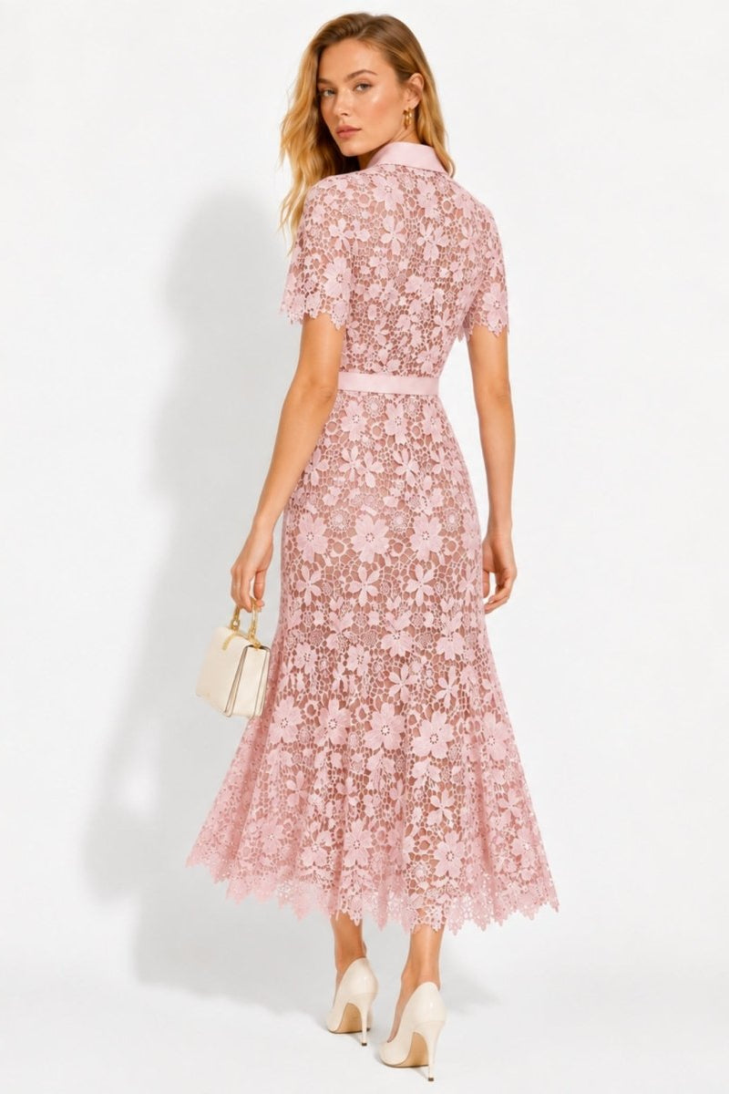 Back view of women's pink short sleeve lace wedding guest midi dress highlighting fitted waist and scalloped hem