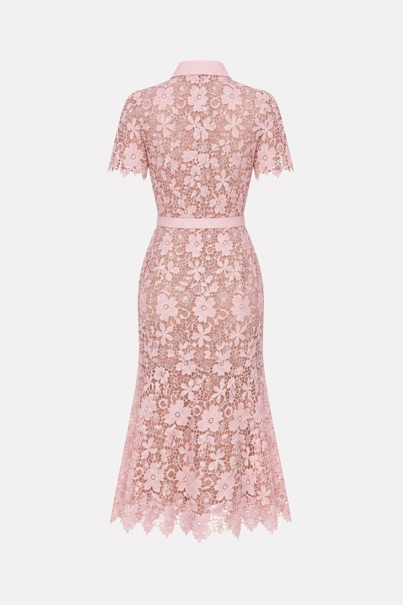 Studio back view of pink floral guipure lace short sleeve midi dress highlighting A-line skirt and collar