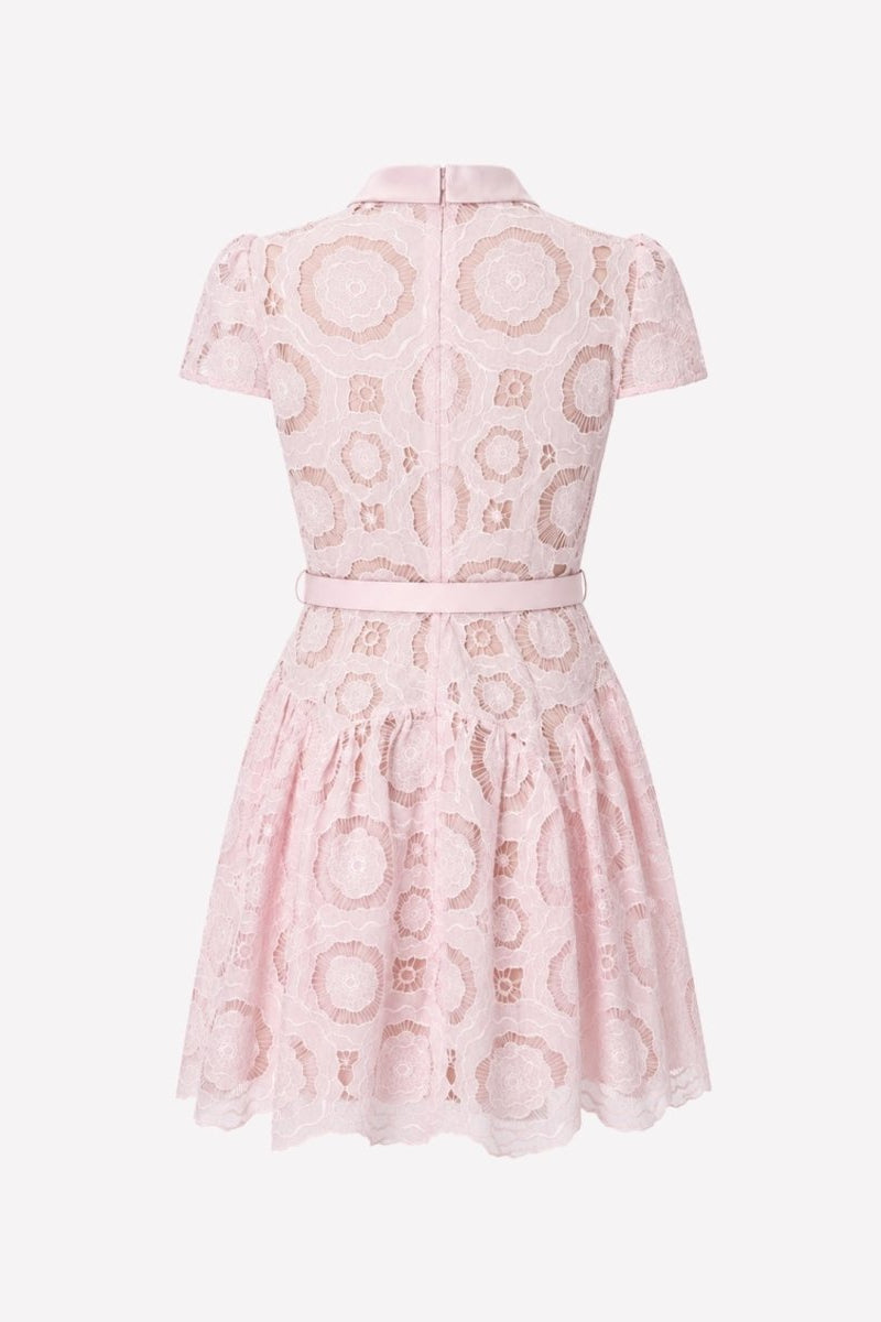 Flat lay back view of Fenlo Form pink lace fit and flare dress showing sheer lace sleeves and zip closure.