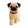 Pug